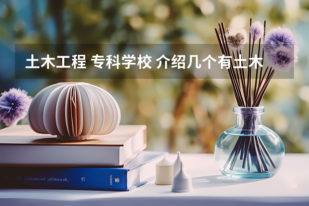 土木工程 专科学校 介绍几个有土木工程的专科学校（河北 北京 辽宁境内的)