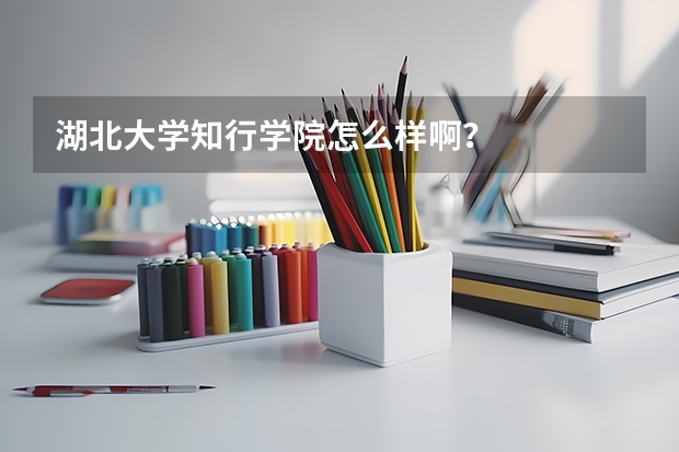 湖北大学知行学院怎么样啊？