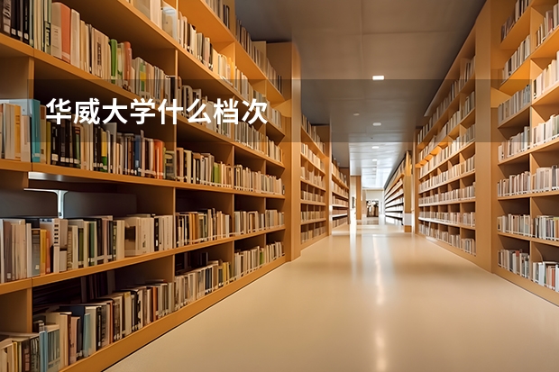 华威大学什么档次
