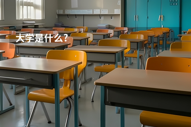 大学是什么?