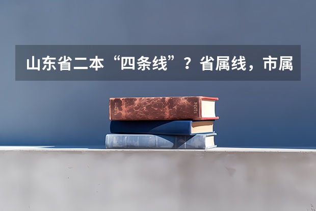 山东省二本“四条线”？省属线，市属线，济南青岛线（山东高考志愿填报问题，懂的来，在线等。。。）