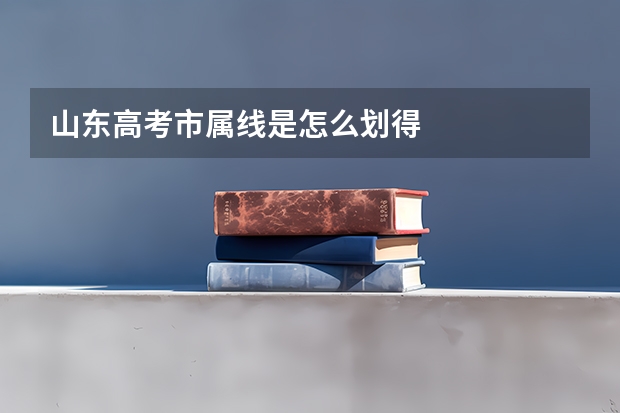 山东高考市属线是怎么划得