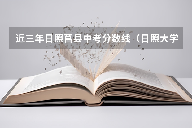 近三年日照莒县中考分数线（日照大学录取分数线）