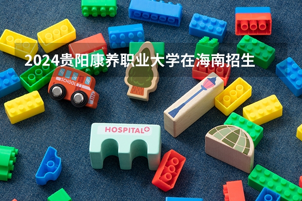 2024贵阳康养职业大学在海南招生计划介绍