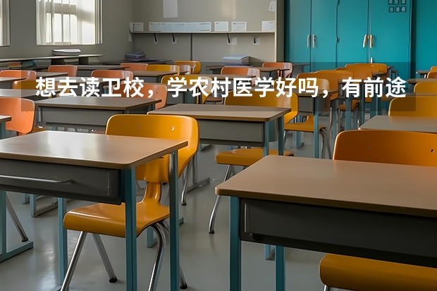 想去读卫校，学农村医学好吗，有前途吗
