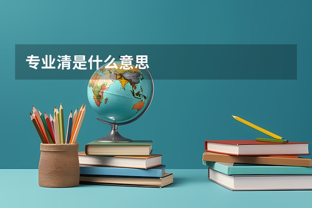 专业清是什么意思