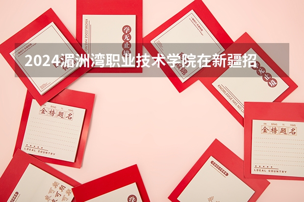 2024湄洲湾职业技术学院在新疆招生计划介绍
