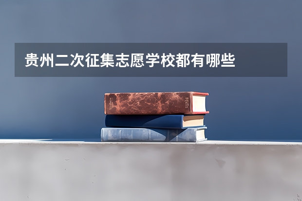 贵州二次征集志愿学校都有哪些