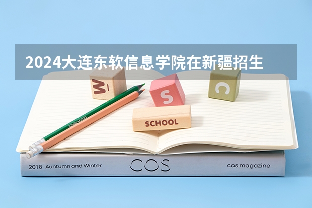 2024大连东软信息学院在新疆招生计划介绍