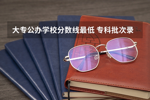 大专公办学校分数线最低 专科批次录取分数线有哪几条？