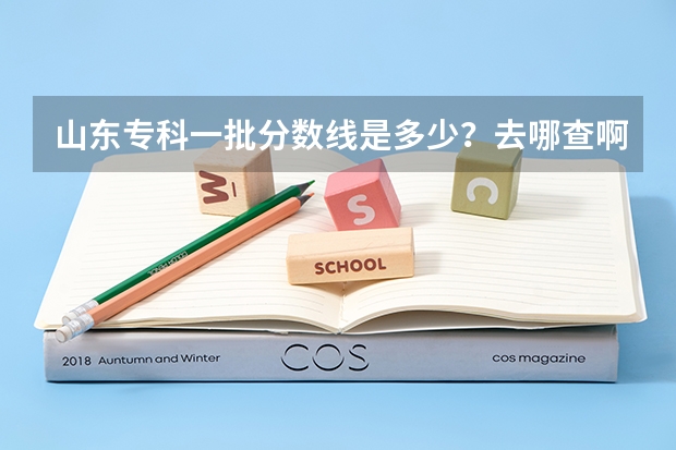 山东专科一批分数线是多少？去哪查啊？