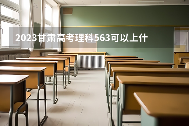 2023甘肃高考理科563可以上什么大学