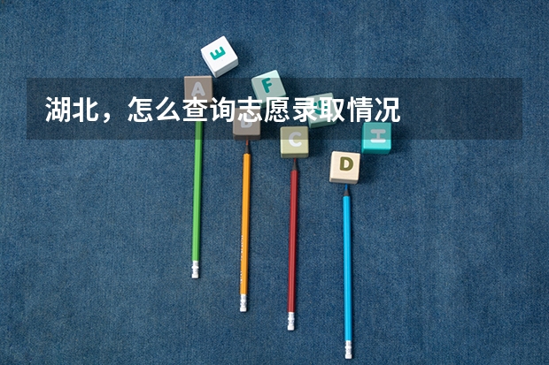 湖北，怎么查询志愿录取情况