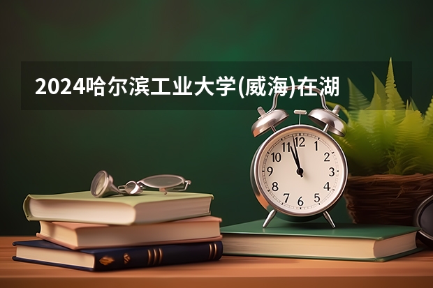 2024哈尔滨工业大学(威海)在湖北招生计划介绍