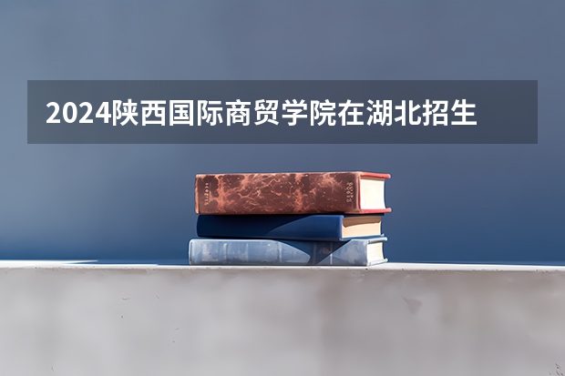 2024陕西国际商贸学院在湖北招生计划介绍