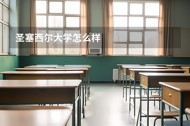 圣塞西尔大学怎么样