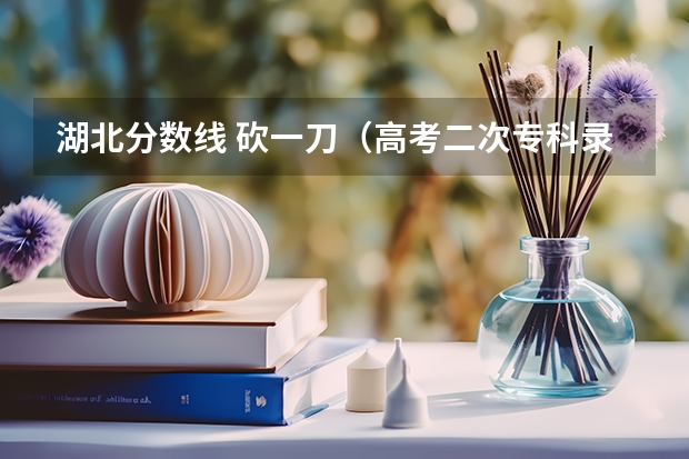 湖北分数线 砍一刀（高考二次专科录取学校名单）