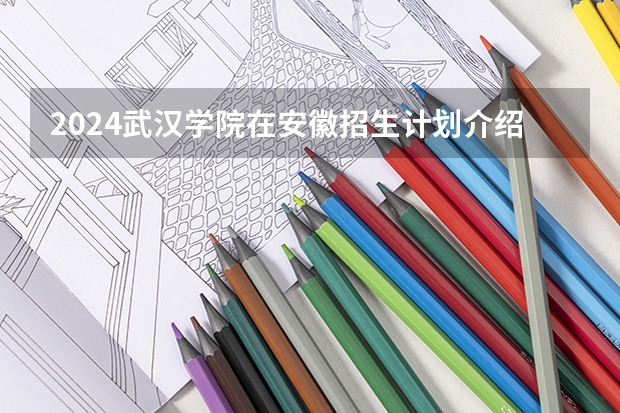 2024武汉学院在安徽招生计划介绍