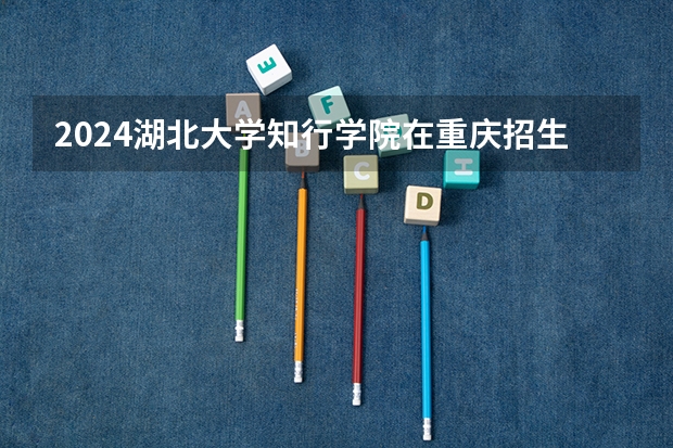 2024湖北大学知行学院在重庆招生计划介绍