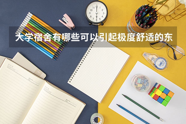 大学宿舍有哪些可以引起极度舒适的东西？