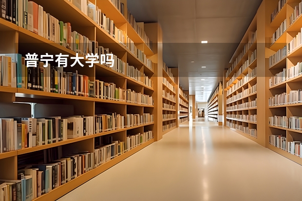 普宁有大学吗
