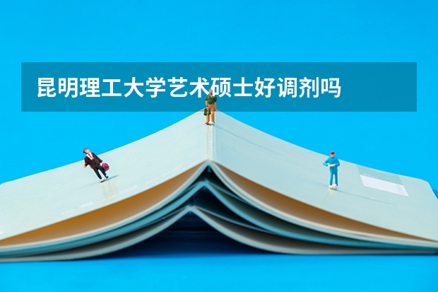 昆明理工大学艺术硕士好调剂吗