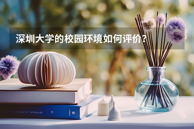 深圳大学的校园环境如何评价？