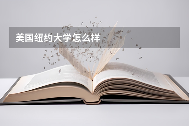 美国纽约大学怎么样