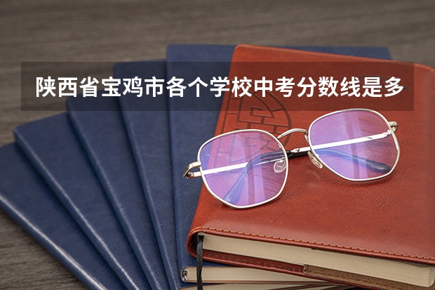 陕西省宝鸡市各个学校中考分数线是多少