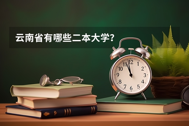 云南省有哪些二本大学？
