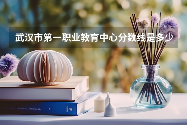 武汉市第一职业教育中心分数线是多少？