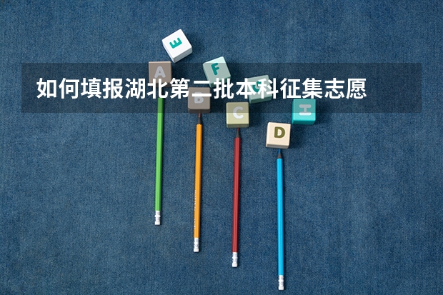 如何填报湖北第二批本科征集志愿