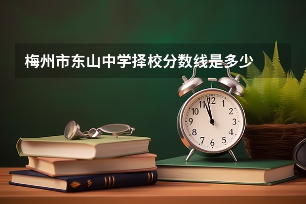 梅州市东山中学择校分数线是多少