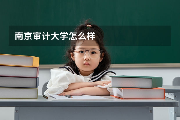 南京审计大学怎么样