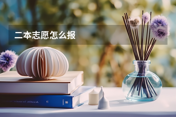 二本志愿怎么报