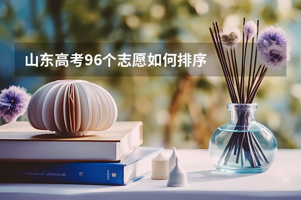 山东高考96个志愿如何排序