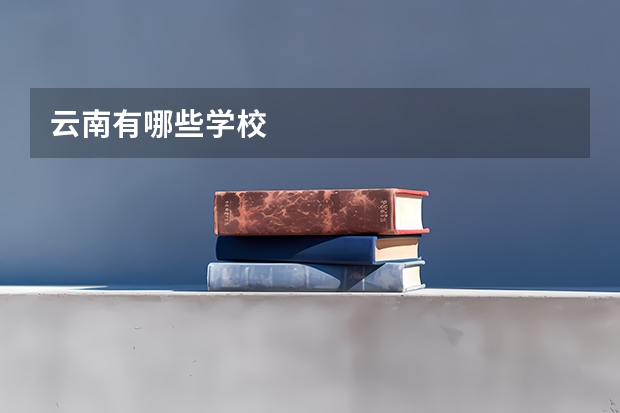 云南有哪些学校
