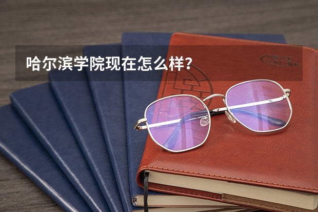 哈尔滨学院现在怎么样？