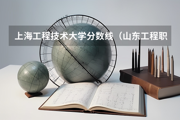 上海工程技术大学分数线（山东工程职业技术大学分数线）