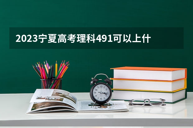 2023宁夏高考理科491可以上什么大学