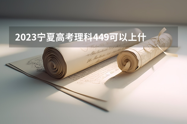 2023宁夏高考理科449可以上什么大学