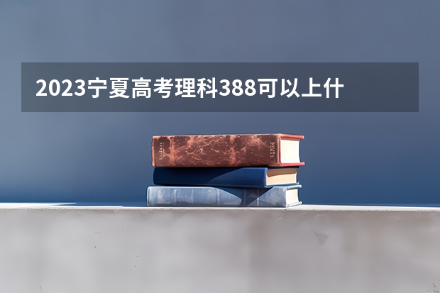 2023宁夏高考理科388可以上什么大学