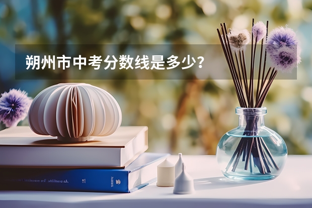 朔州市中考分数线是多少？