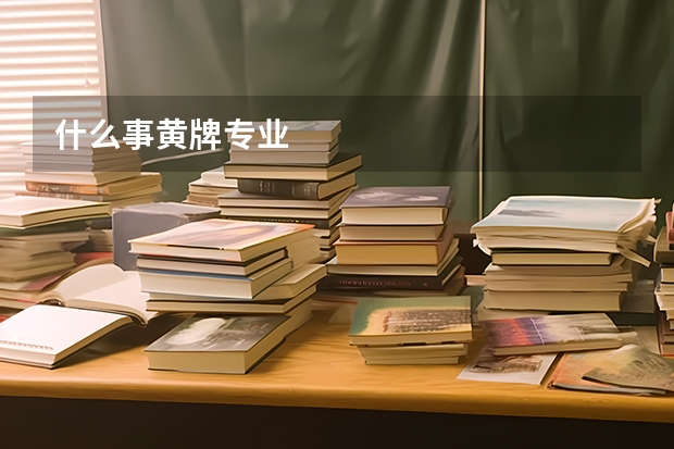 什么事黄牌专业