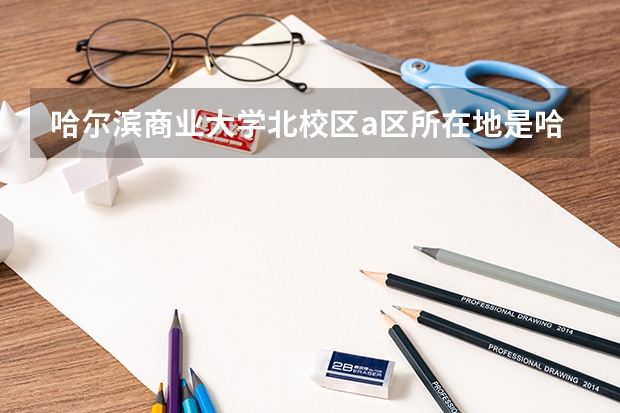 哈尔滨商业大学北校区a区所在地是哈尔滨市最繁华的地方吗