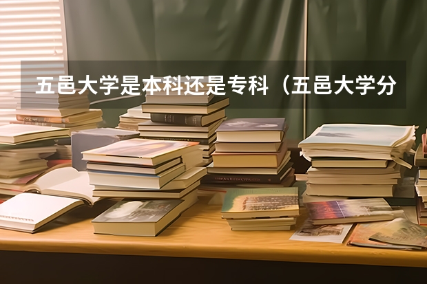 五邑大学是本科还是专科（五邑大学分数线）