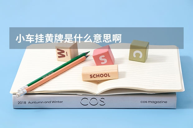 小车挂黄牌是什么意思啊