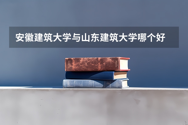 安徽建筑大学与山东建筑大学哪个好
