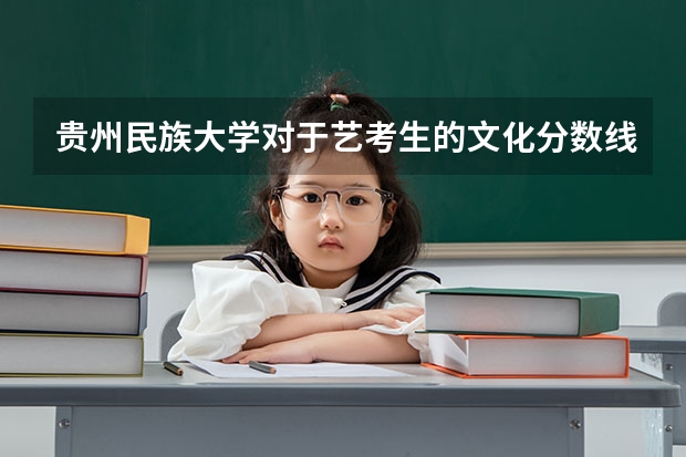 贵州民族大学对于艺考生的文化分数线是多少？