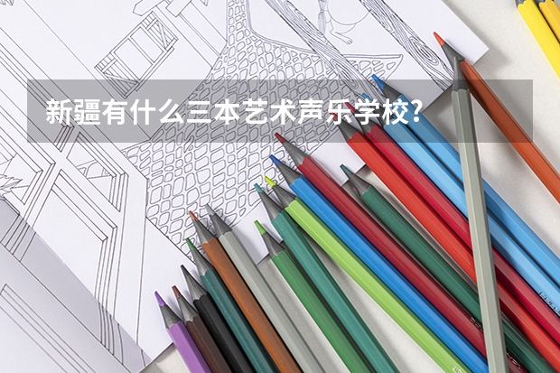 新疆有什么三本艺术声乐学校?